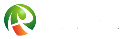 爱游戏官方入口